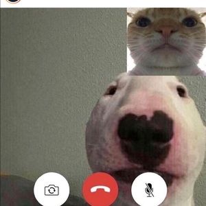 Meet your Posher, Luis